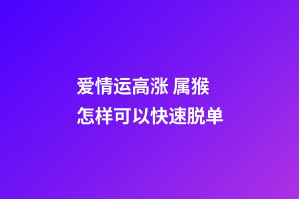 爱情运高涨 属猴怎样可以快速脱单